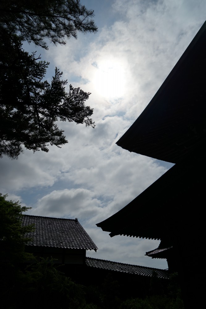 DSC00253