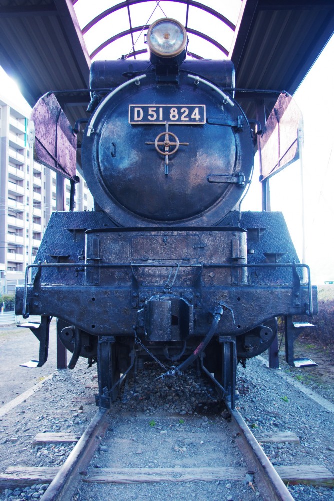 d51