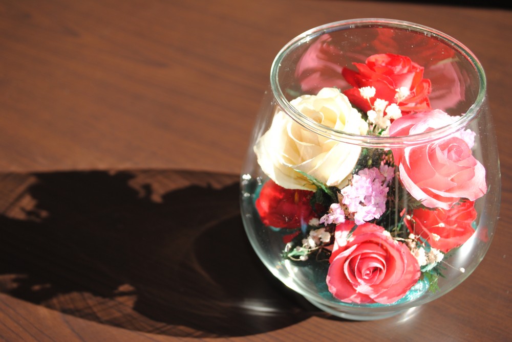 dryflower1