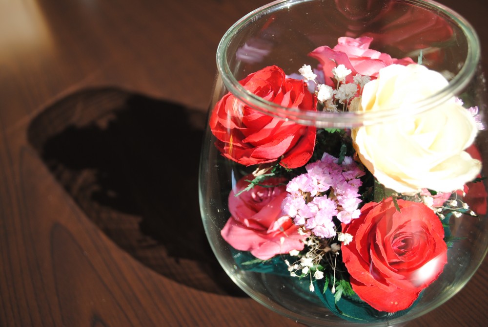 dryflower2