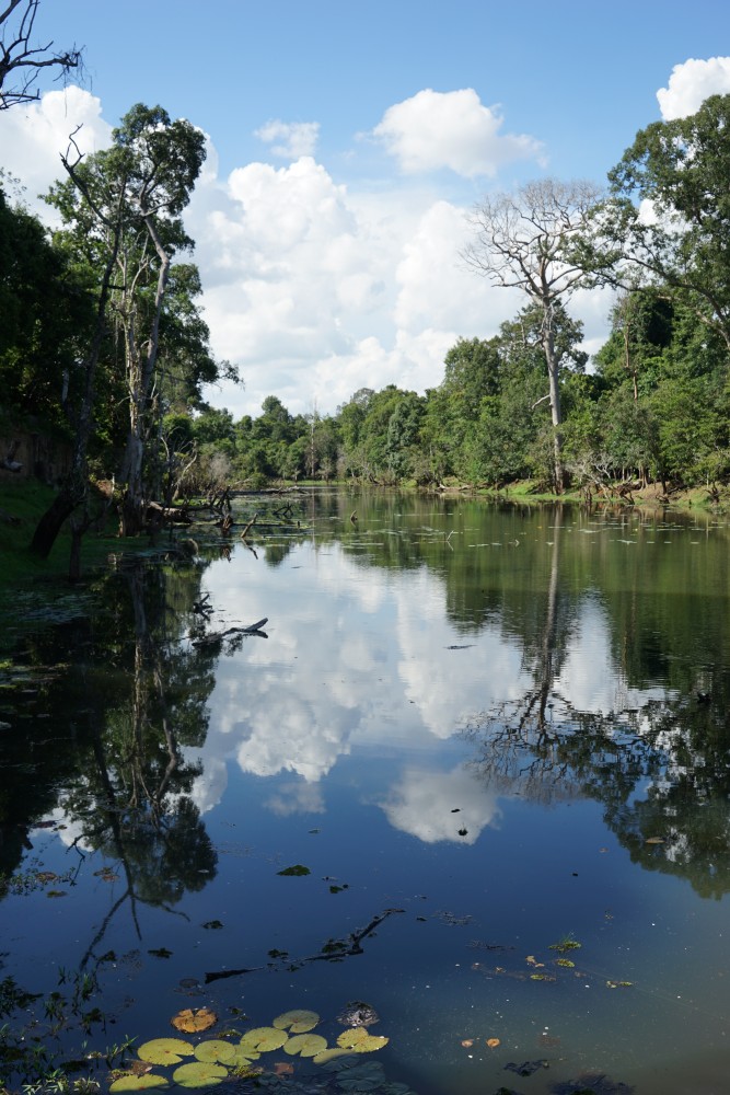 gajyumaru