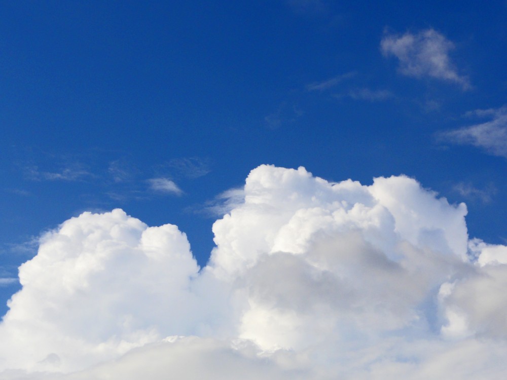 kumo