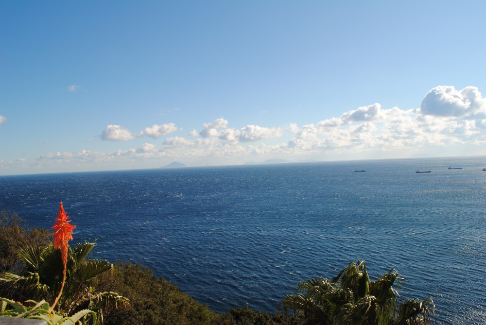 sea1