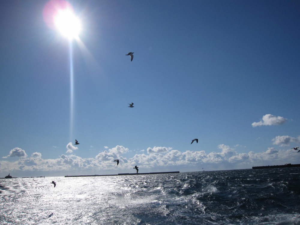 sea3