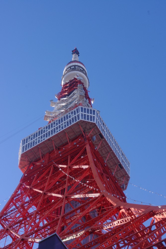 toukyoutawa-masita