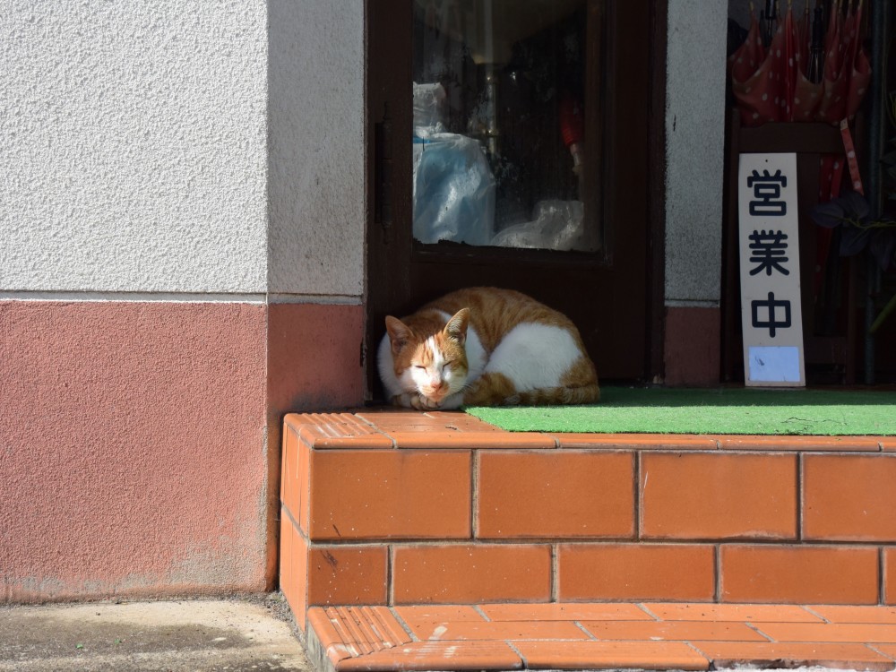 kanbanneko