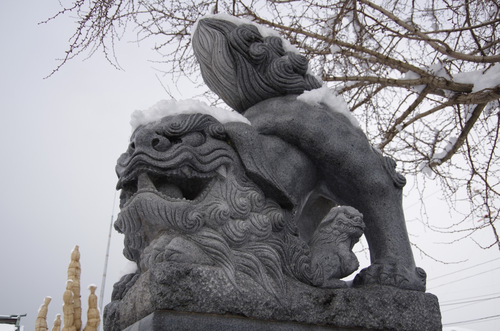 komainumesu